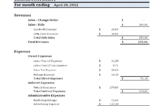 give you a set of advanced excel accounting spreadsheets for a small service business