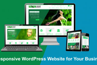 design, redesign or revamp wordpress website with elementor pro