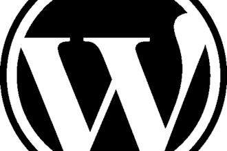 give you any wordpress theme you like