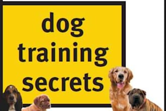 teach you 1000 dog training tips