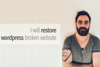 fix any wordpress issue, error, or broken site fast