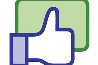 give You 1000 Web Site Facebook Likes