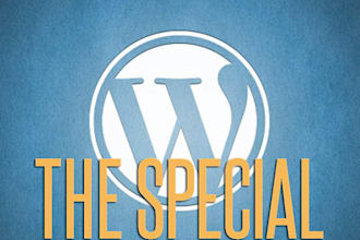fix your wordpress ERROR or problems