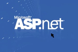 fix bugs and add features in your dot net web app front back end