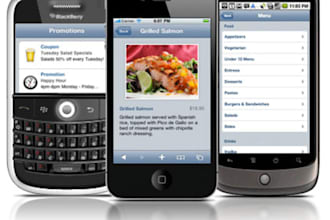 optimize your wordpress blog for mobile devices PROFESSIONALLY within 24 hours