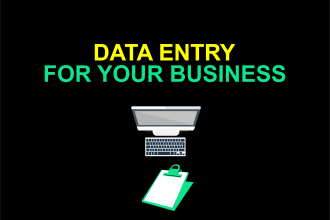 do data entry on excel, google sheets, quickbooks