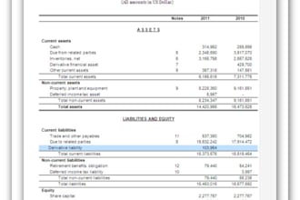 prepare your financial statements and related notes