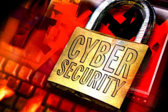 test your website security, find vulnerabilities and send you complete report