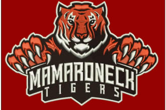 do perfect embroidery digitizing in ofm format