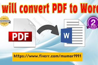 convert PDF to word