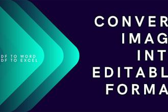 convert the image into editable format