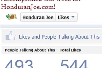 create and manage an effective Facebook ad