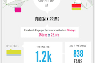 create a stunning infographic about your Facebook Page