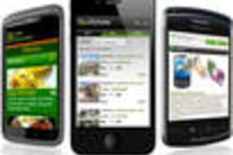 create a mobile compatible version of your current website