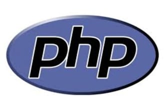 fix a PHP error or write a short script for you