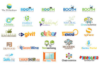 design a Clean Professional WEB Logo for you website