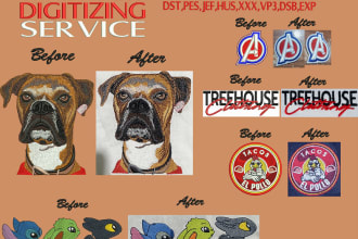do machine embroidery digitizing into dst,pes,jef vp3 cnd in 1 hr