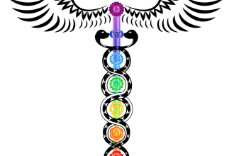 send you distant master degree kundalini reiki attunement