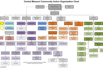 create flow charts, organization charts,organogram
