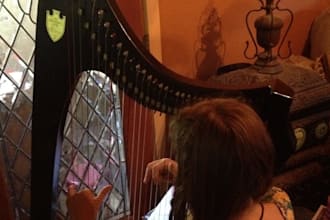 play a song on my harp and record it and send to you