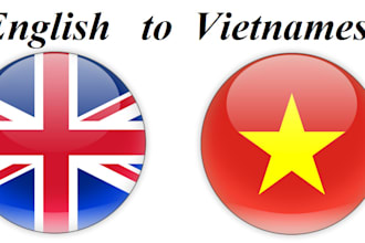 provide video and audio translation services