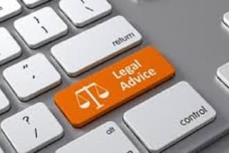 provide legal consultation or legal advice on legal areas
