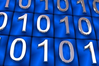 prepared the sql queries for the database update for more than 100 records