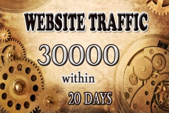 send super targeted,usa,traffic, website,unique,visitors
