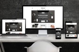build professional website for you