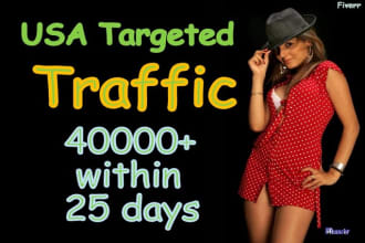 manage to add 40k USA targeted website traffic