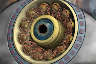 program pattern recognition, computer vision and image processing assignments