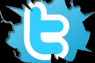 give You 20,000+ Real Twitter Followers In Few Hours No Bot Used Just