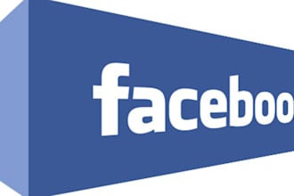 give you 600+ facebook likes to your photo/comment/status/post