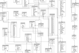do your assignments and projects of database and erd using mysql and sql