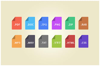 manually format and convert your files