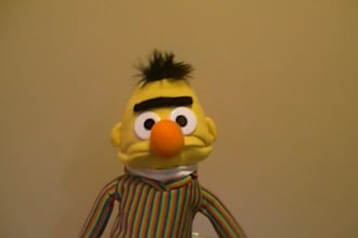 create a custom Bert MESSAGE
