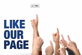 add 250+ Facebook Likes or Fans within 72 hours to your Fanpage without admin access