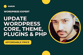 backup and update wordpress core, plugins, themes, and PHP safely