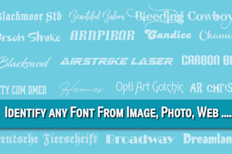 identify and find any font from the image or other sources
