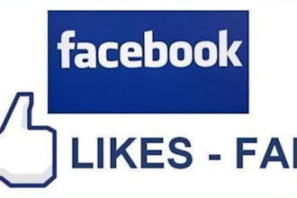 give you 250 VERIFIED authentic facebook likes Guaranteed safe to your fanpage or Website