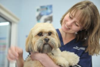 guest post on  high da pets blog