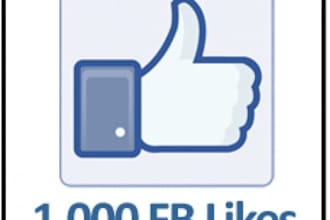 deliver 1000+ Real Facebook likes within 7 days