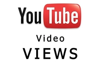 give You 25000+ Youtube Views To Your Video