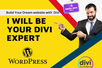 your divi expert for your ecommerce divi website