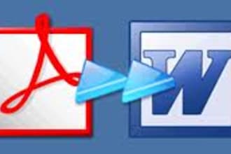 convert pdf to word