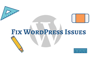 fix any wordpress issues, problems, or errors