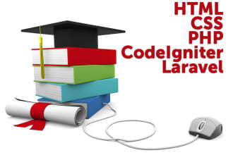give you a web development crash course