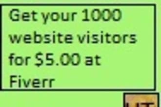 send 1000 unique visitors to your website