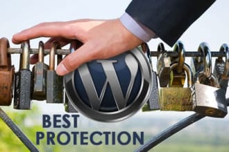 provide professional wordpress security for website