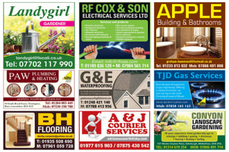 design newspaper and magazine ads, flyer and postcard